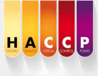 corso HACCP brescia corso haccp brescia online