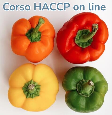 corso HACCP on line miglior corso haccp online corso haccp online gratis corso haccp online lombardia corso haccp online veneto corso haccp online toscana corso haccp online pegaso corso haccp online pedago corso haccp online 4 ore corso hccp online